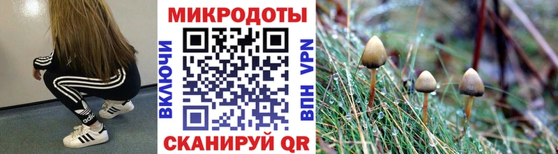 МЕГА вход  Куса  Псилоцибиновые грибы Psilocybine cubensis  хочу наркоту 